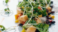 Lentil & Charred Broccoli Chat