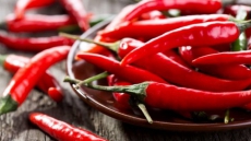 Chilling out with Chillies