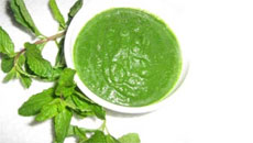Cilantro Chutney