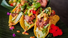 Jackfruit Tacos