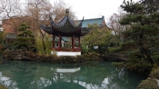 Review: Hidden Gem Dim Sum Chinatown Tour