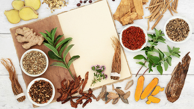 From spices to wellness: An Indian diet supports healthy ageing