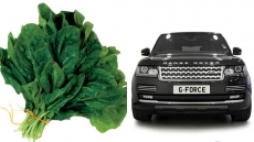 Soon, spinach to power your car