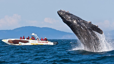 Spring is in the Air!