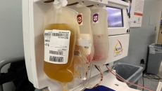 Researchers ask if survivor plasma could prevent coronavirus