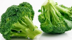 Garlic, broccoli may speed up cancer recovery