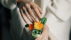 Calendula - The secret for reducing reduce redness and blemishes