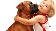 Young children know all about cuteness