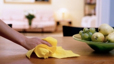 Household Hacks with Automotive Cleaners