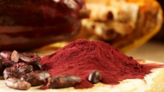 Cocoa may reverse memory decline