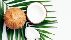 Love Coconut infused cuisine? Check out destinations that have an unrivalled love for coconuts.
