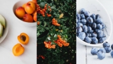 Herbs, nuts and fruits to enhance your daily diet