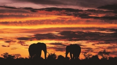 Top 10 travel trends for 2016