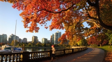 5 Reasons to love Fall in Vancouver