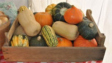 A Winter Harvest at the Abbotsford Farm & Country Market