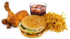 High-fat diet may postpone brain ageing