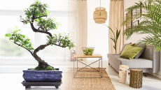 Beat the Winter Blues