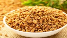 Benefits of fenugreek seeds for hair