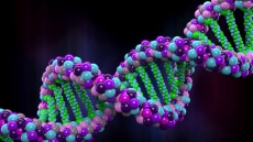 Gene decides alcohol addiction risk