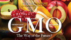 GMO's – The Way of the Future?