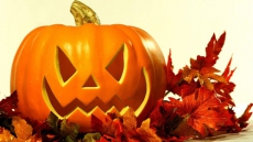 Have a Scary, but Safe, Halloween