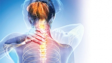 Multiple Sclerosis: Canada’s Invisible Disease