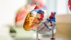 Are young Indians at a higher risk of heart disease?