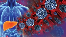 Hepatitis, the ABC’s