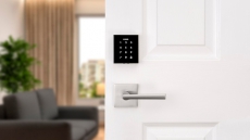 Enjoy Your Summer with Peace of Mind