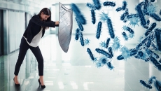 The Importance of Hygiene