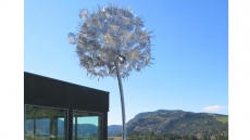 Experience the Art of Liquidity Wines in the Heart of Wine Country