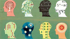 7 Tips to Navigate Mental Health