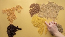 Discover the healthy world of alternative grains