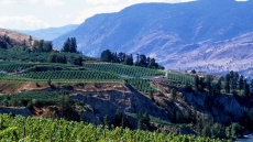 Thompson Okanagan Region to earn International Biosphere Destination certification