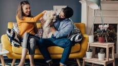 6 Best pet-friendly winter vacation destinations in India