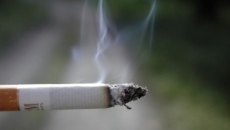 Adolescent smoking leads to accelerated dependency