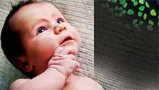 Stem Cells: Microscopic Miracles