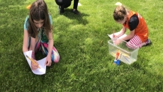 Get children to make the most of their holidays by getting them to join a summer day camp