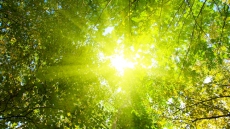 May is National Sunshine Month