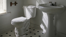 Restrooms not as unhealthy as you may think