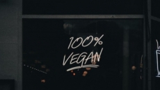 Inspired by the vivid flavours of veganism