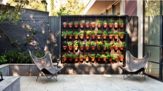 Look up! Vertical garden is just the ticket when space is minimal