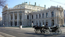 Timeless Vienna a feast for the senses