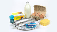 Vitamin D and the South Asian Population