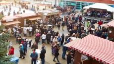 Exploring Waterloo’s Food Boroughs