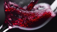 Sensor that measures effect of wine in your mouth