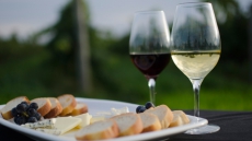 Hit the Road During the Niagara Wine Festival