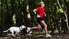 Need A Partner For Workout? Try Dogs