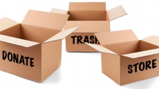 The Pre-Christmas Purge