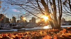 Family-Friendly Fun This Fall